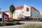 Bear Facts And Imagntn Museum Texas Hotels - Red Roof Inn - Houston Westchase