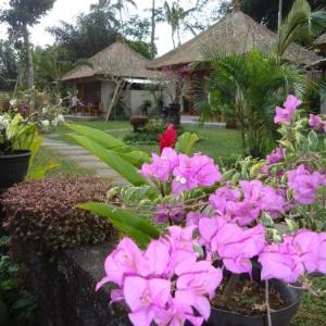 Suka's House Bed & Breakfast
