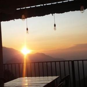 Golden View Guest Ella