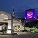 Hotels near Dennis A Wicker Civic Center - Sleep Inn & Suites Spring Lake - Fayetteville Near Fort Liberty