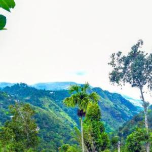 Ella Nimal Nest Inn