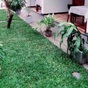 Ramesh Guesthouse