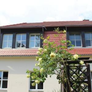 dresdnerferienwohnung - apartment am großen garten