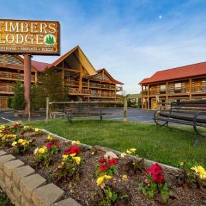 Hotels near The Microtorium Pigeon Forge - Timbers Lodge - Pigeon Forge