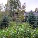 Dulany At The Gondola By Wyndham Vacation Rentals