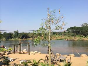 Magmai Riverside Homestay, Tak