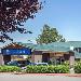 Chateau Ste Michelle Winery Hotels - Comfort Inn Kirkland
