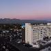 Hotels near O'Malleys On Fourth - Aloft Tucson University