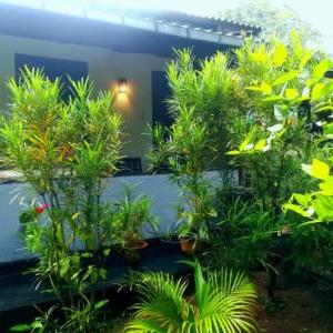 Sigiriya Lakmal Resort