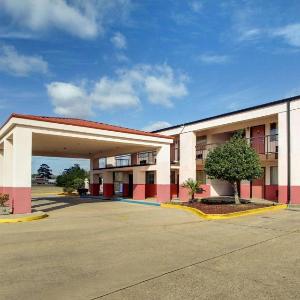 Econo Lodge Inn & Suites Forest