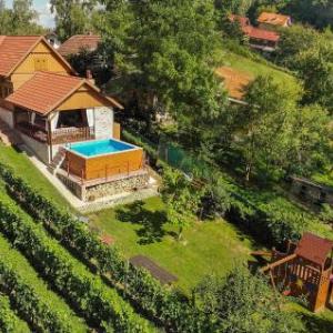 Four-Bedroom Holiday Home in Velika Buna