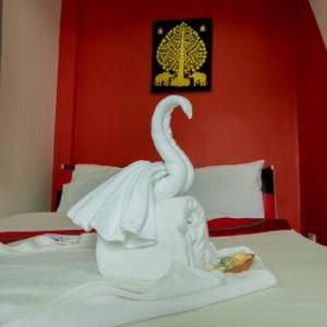 C.samui guesthouse