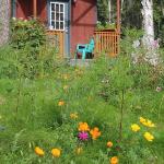 Dave Fish Alaska Lodging Talkeetna