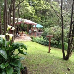 Hotels near Caribbean Gardens Scoresby - Stone's Throw Cottage Bed and Breakfast