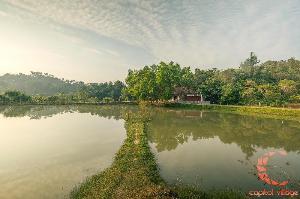 Capitol Village Resort, Coorg