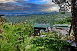 Kasauli Exotica Hotel, Kasauli