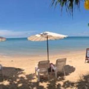 Breizh Cape Beach Bungalows