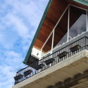 Pigeons Nest