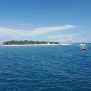 Arena Island
