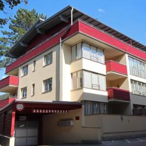 Ski-In/Ski-Out Appartements Augasse by Schladming-Appartements