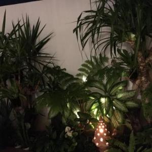 Green House