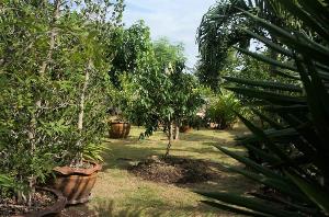 Good Hart Homestay, Pran Buri