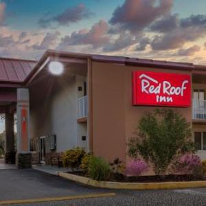 Red Roof Inn Ellenton - Bradenton NE