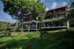 Dhole's Den Bandipur, Masinagudi