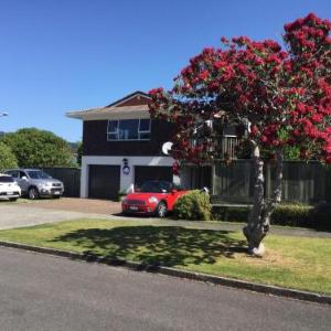 Rotorua Studio on Sumner