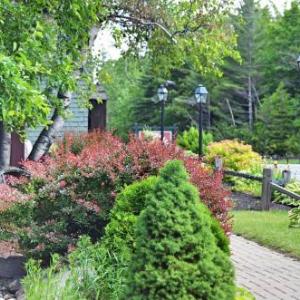 Hungry Trout Resort