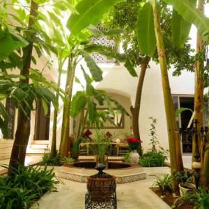 Riad Dar Aman