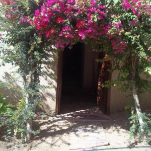 Nour El Gourna