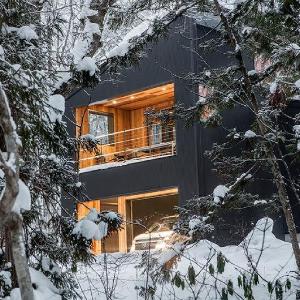 Phoenix Cocoon by HHG