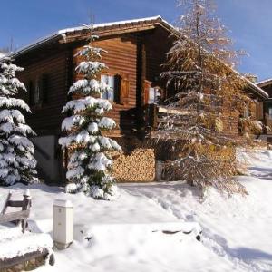 Ferienhaus Blommen