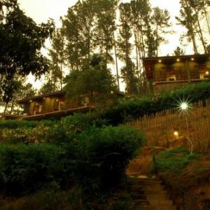 Rowinrich Cottages