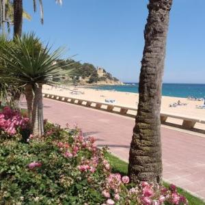 Manuela Beach City
