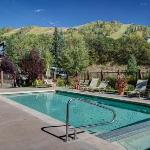 Bear Claw 208 Colorado