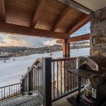 Bear Claw 404 Colorado