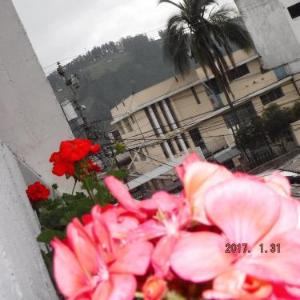 Edificio Foch