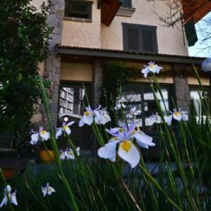 Hotel Solar d'Izabel
