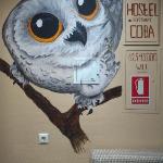 Hostel Wood Owl