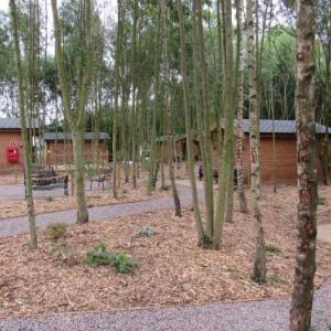 Sherwood Pines Mansfield Hotels - Riddings Wood lodges