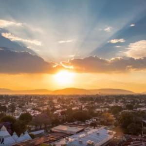 One Guadalajara Expo