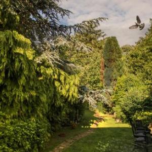 Hotels near Medina Theatre - Ward Avenue B&b