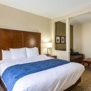 Comfort Inn & Suites Baton Rouge Airport