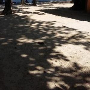 Calumar Guest House