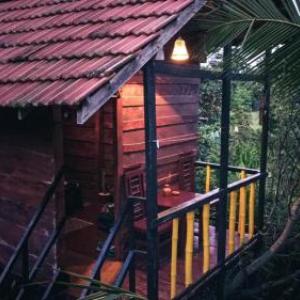 Bird House Mirissa