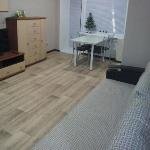 Apartment on Zaytseva 6 Chelyabinsk