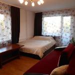 Apartment Yantarnaya shkatulka Kaliningrad 