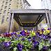 Hotels near Amsterdam Bar and Hall - The Saint Paul Hotel